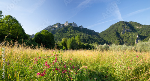 Fototapeta Naklejka Na Ścianę i Meble -  Mountain landscape.  Pieniny, the peak called Three Crowns