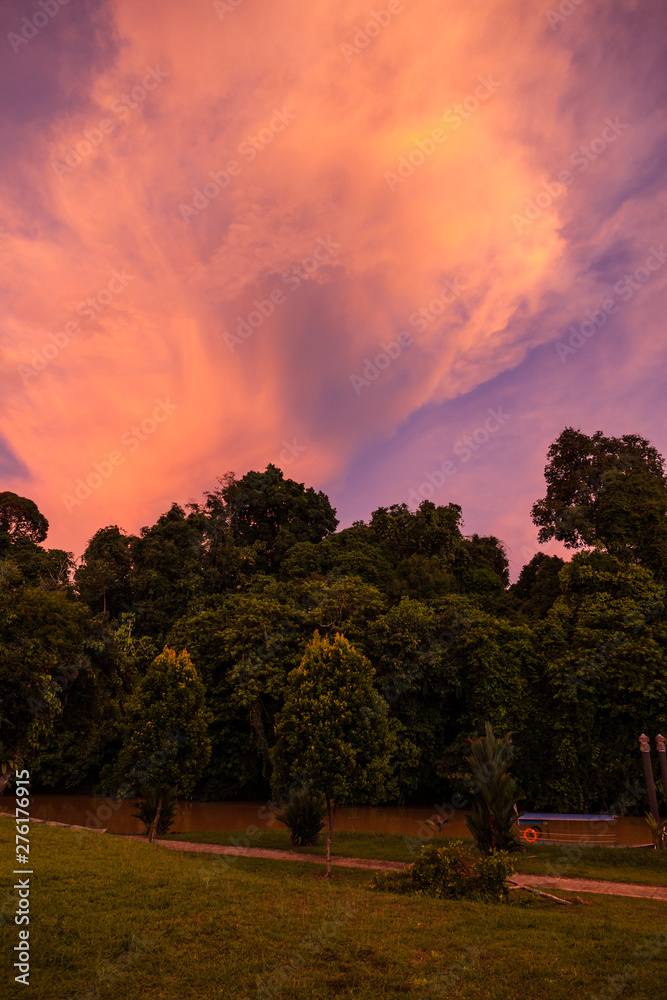 Vivid sunset clouds and trees