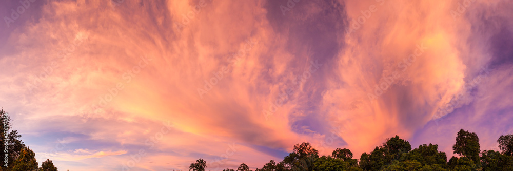 Vivid sunset clouds and trees