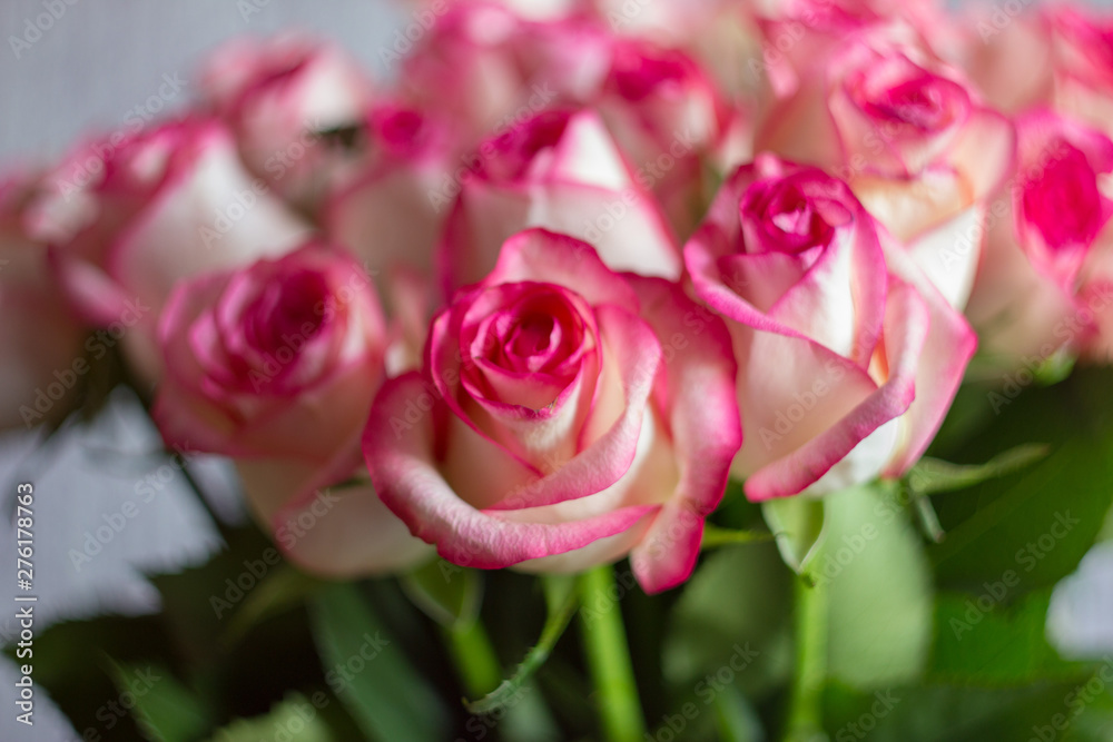 Delicate and romantic bouquet of pink roses for a holiday Delicate and romantic bouquet of pink roses for a holiday