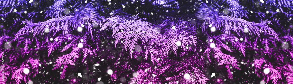 Snow fall in winter forest christmas banner background. Trendy purple and pink gradient.