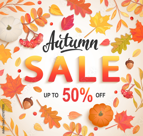 Autumn big sale banner, 50 percent discount card with scattered seasonal fall leaves,rowan, pumpkin,acorn for shopping promotions,prints,flyers,invitations, special offer poster.Top view.Vector