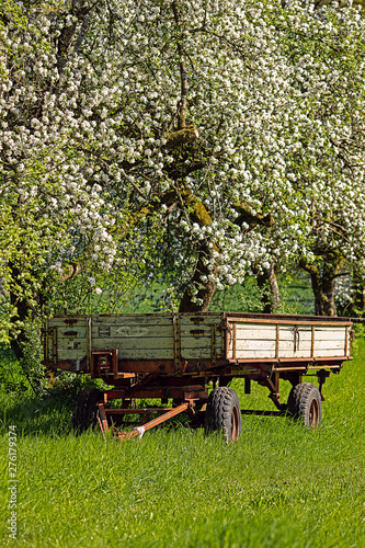empty trailer of a tractor parked under flowering trees in spring