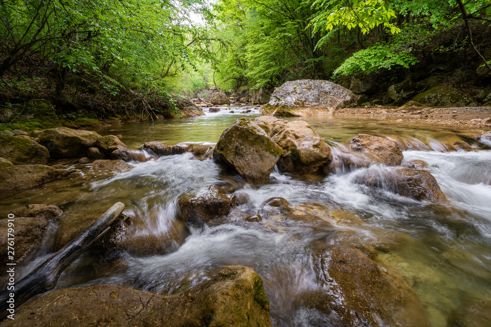 Mountain river flowing through the green forest