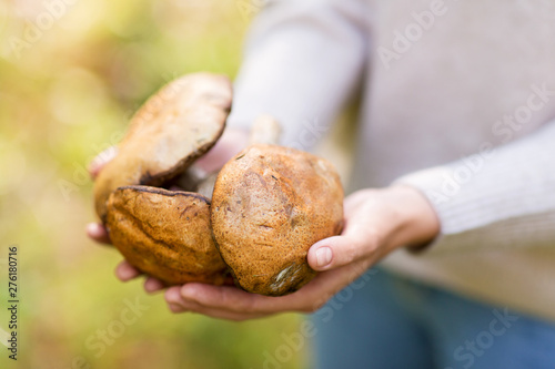 season, nature and leisure concept - close up of woman hands holding mushrooms in forest