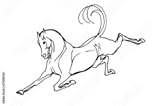 vector - isolated monochrome image of a galloping kicking horse on white background and inscription, ink, pen.