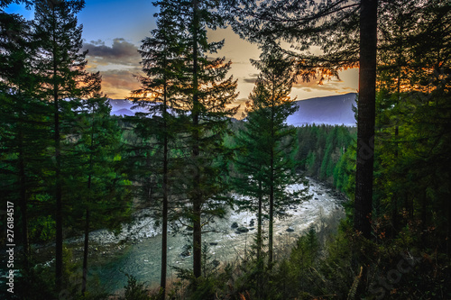 Snoqualmie River View Through the Forest, Washington