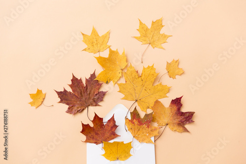 nature  season and mail concept - dry fallen autumn maple leaves with envelope on beige background