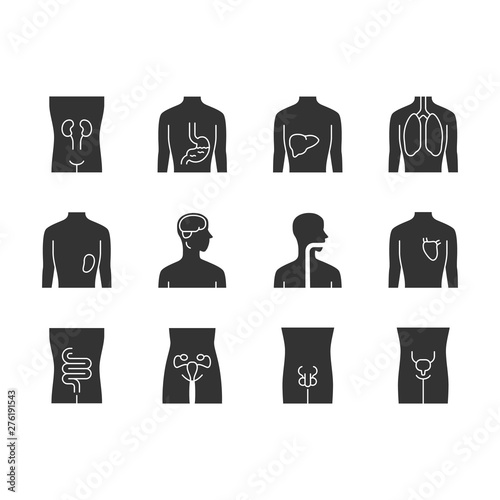 Healthy human organs glyph icons set. Throat and lungs in good health. Functioning heart. Wholesome liver. Internal body parts in good shape. Silhouette symbols. Vector isolated illustration