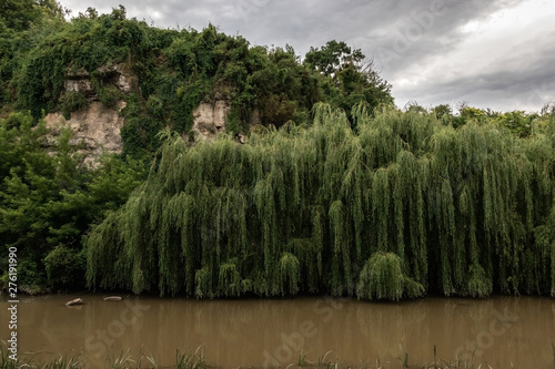 Green willows growing above the water of a muddy yellow river near the rocks under a cloudy sky.