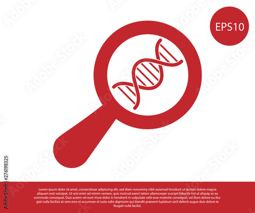 Red DNA research, search icon isolated on white background. Magnifying glass and dna chain. Genetic engineering, cloning, paternity testing. Vector Illustration