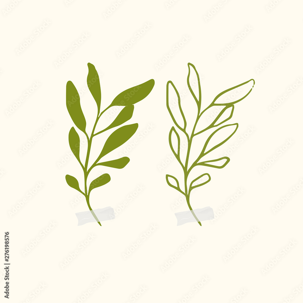 Fototapeta premium Vector botanic illustrations. Botanical clipart. Set of Green branches. Floral Herb Design elements. 