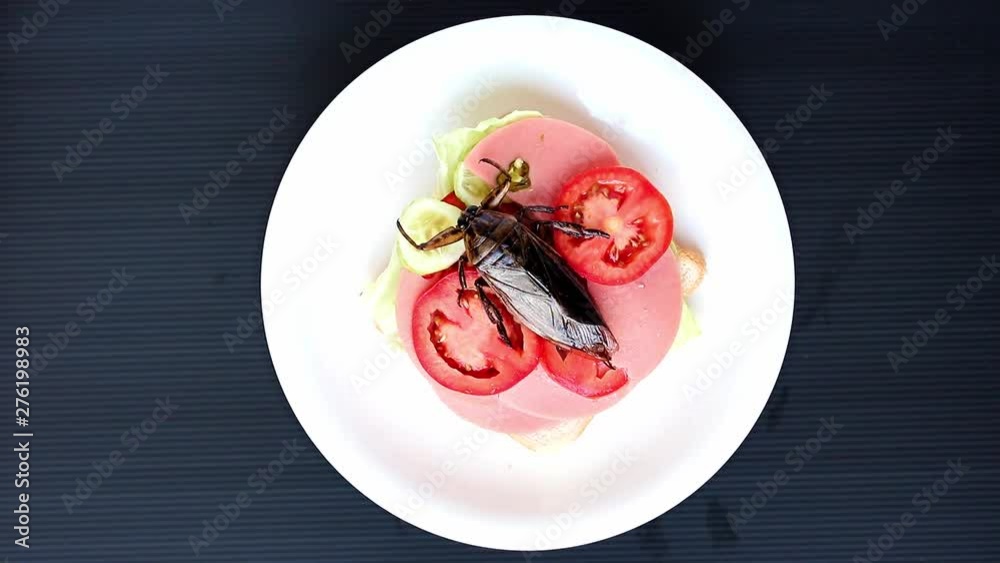 Top view rotating sandwich with fried Giant Water Bug - Lethocerus indicus, fresh vegetables and salami. Top view rotating sandwich with fried Giant Water Bug - Lethocerus indicus, fresh vegetables and salami.