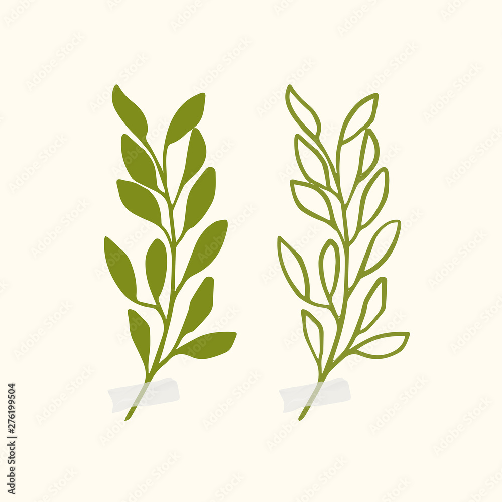 Vector botanic illustrations. Botanical clipart. Set of Green branches. Floral Herb Design elements. 