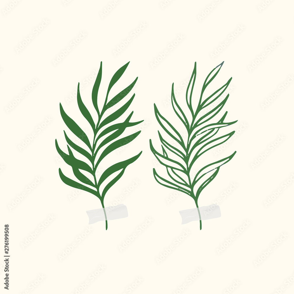 Vector botanic illustrations. Botanical clipart. Set of Green branches. Floral Herb Design elements. Vector botanic illustrations. Botanical clipart. Set of Green branches. Floral Herb Design elements.