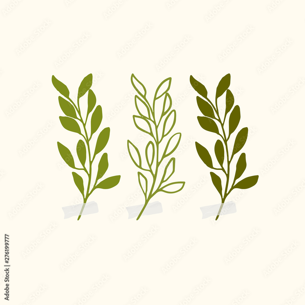 Fototapeta premium Vector botanic illustrations. Botanical clipart. Set of Green branches. Floral Herb Design elements. 