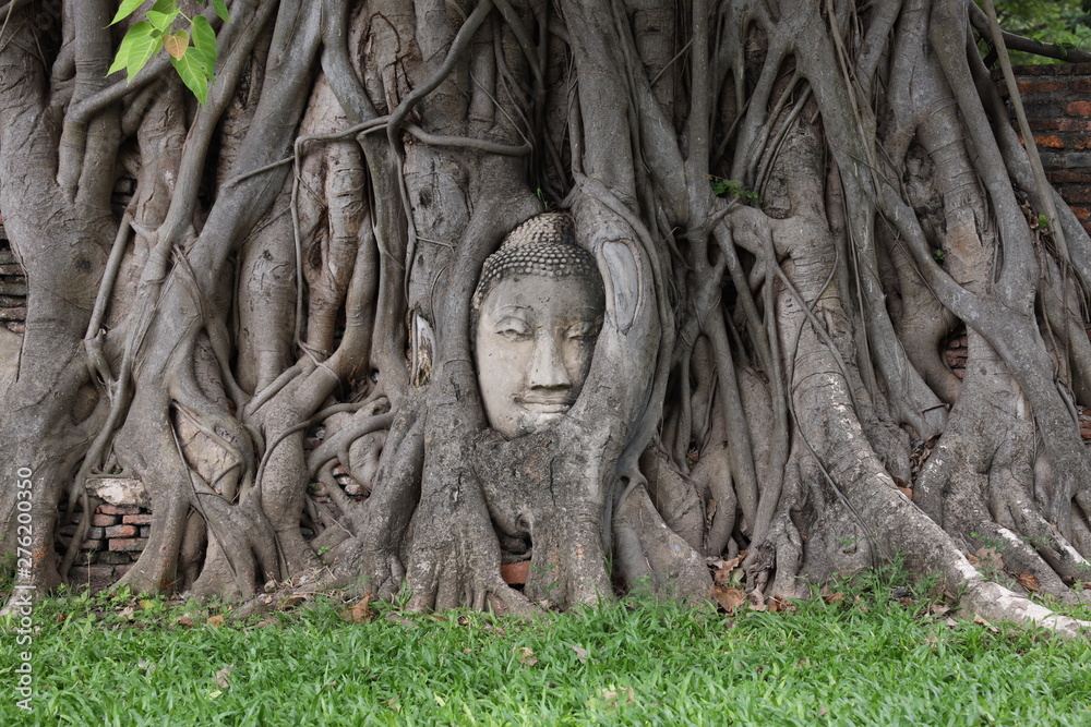 Sand Stone Buddha Head in Tree Roots at Wat Mahathat, Ayutthaya