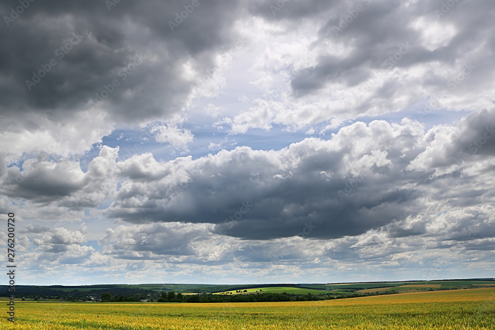 Countryside with wheat field and stormy sky Countryside with wheat field and stormy sky