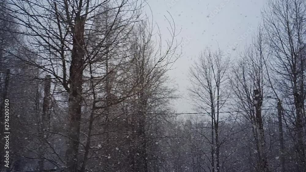 Slowly magically spinning and snow falls in large flakes on snow-white drifts and frosty trees shrouded i Slowly magically spinning and snow falls in large flakes on snow-white drifts and frosty trees shrouded i