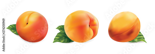Peach isolated on white background. Vector illustration.