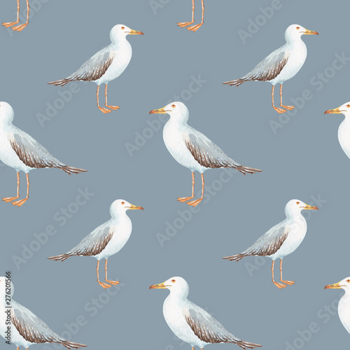 pattern in nautical style bird gull on a blue background