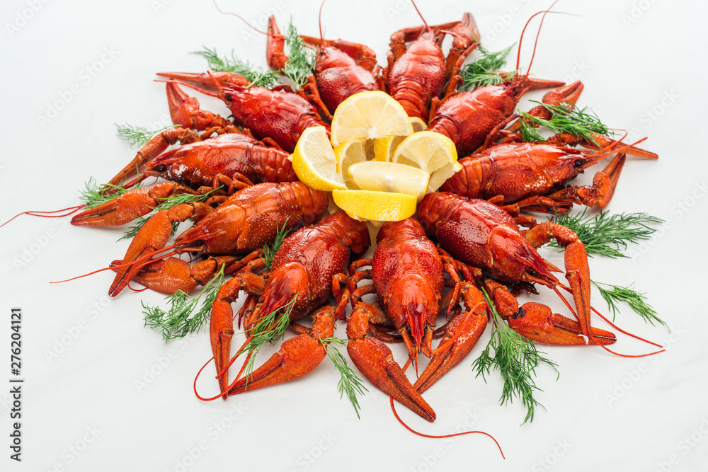 red lobsters, lemon slices and green herbs on white background red lobsters, lemon slices and green herbs on white background