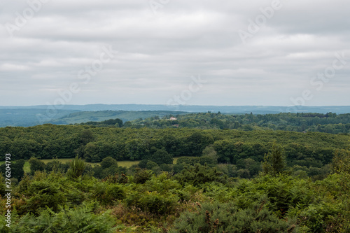 June 2019 walk around Blackdown, West Sussex, UK photo