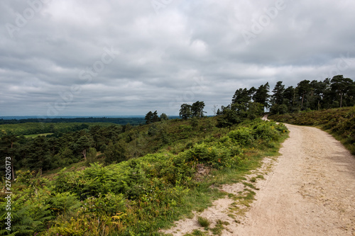 June 2019 walk around Blackdown, West Sussex, UK photo