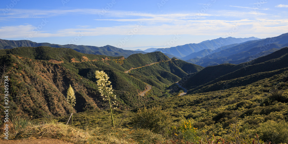 Fototapeta premium Kalifornien Landschaft 3