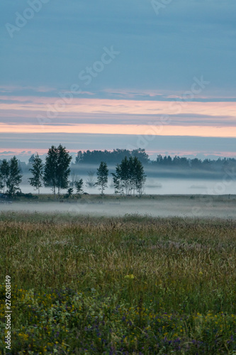 Nature landscape in sunrise hour with trees and meadow in Midsummer in Latvia