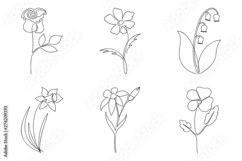 Continuous line flower set. One line drawing of different flowers. Hand-drawn minimalist illustration. Vector.