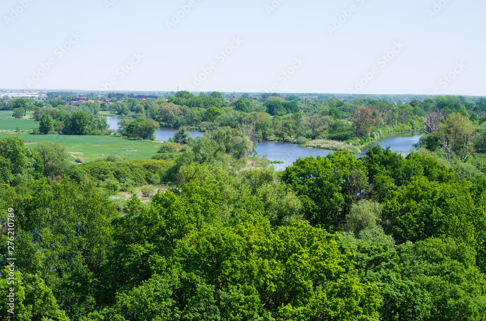 Meadows and Odra river