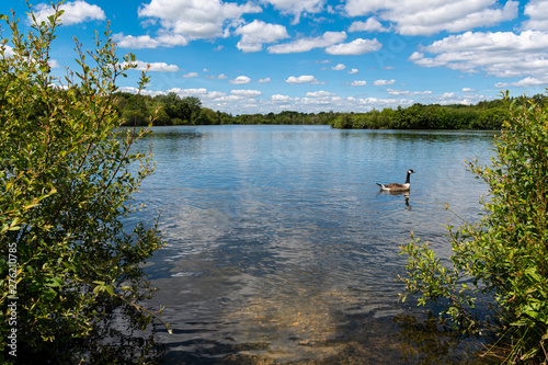 Horseshoe lake view photo