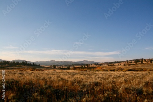 landscape with dry meadow and blue sky