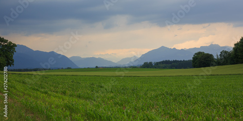 Gr  ne Wiese vor Bergen