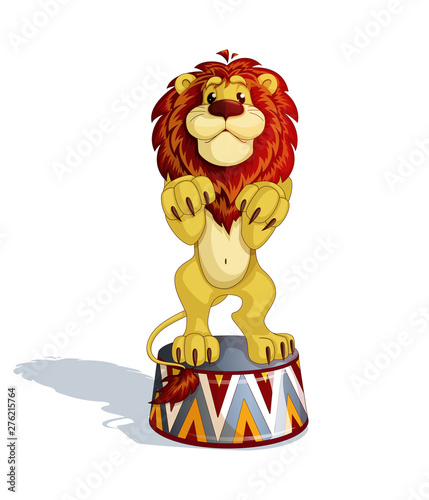 A trained lion stands on his hind legs on a circus pedestal. Performances with wild predatory animals. A cute cartoon character. Vector illustration. Isolate.