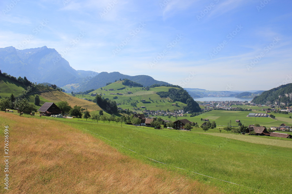 Green meadow and distant view of Lake Lucerne.