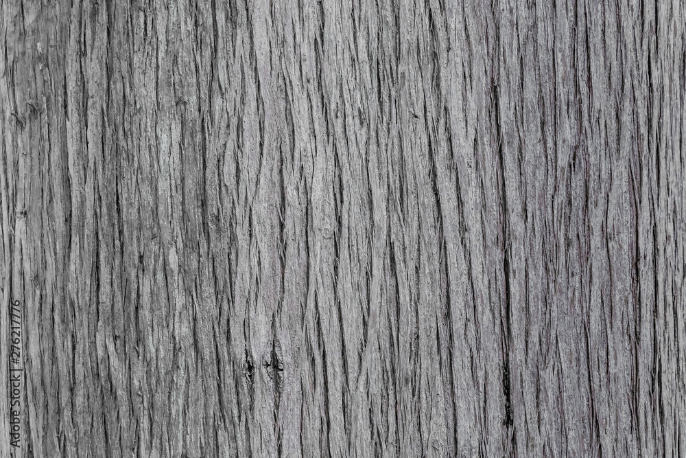 Natural surface texture of tree bark. Background pattern. Horizontal orientation. Natural surface texture of tree bark. Background pattern. Horizontal orientation.