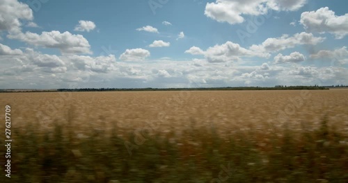 Beautiful view of a wheat field and sky, with a moving car window.