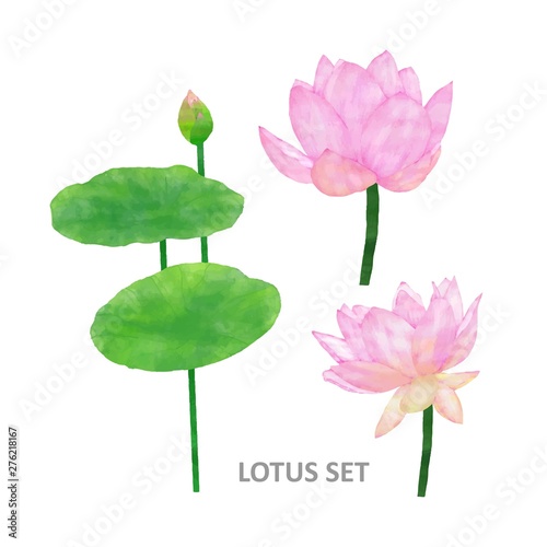 Watercolor lotus set