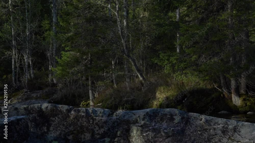 Slow motion pan shot of a river flowing in the forest in Norway. Slow motion pan shot of a river flowing in the forest in Norway.