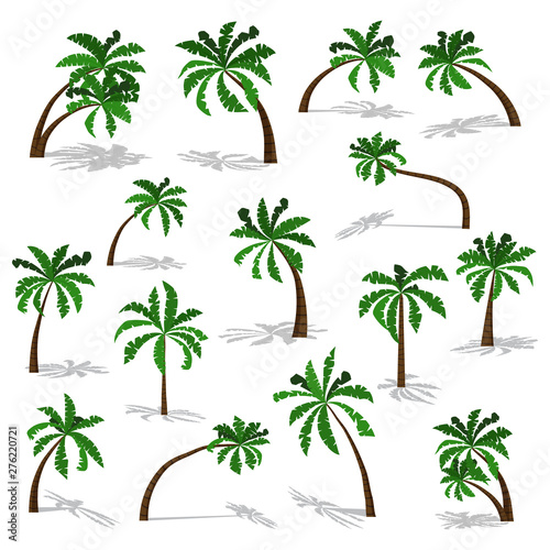 Green palm trees set with shadow isolated on white background. Vector illustration in cartoon flat style. Elements collection for graphic design.