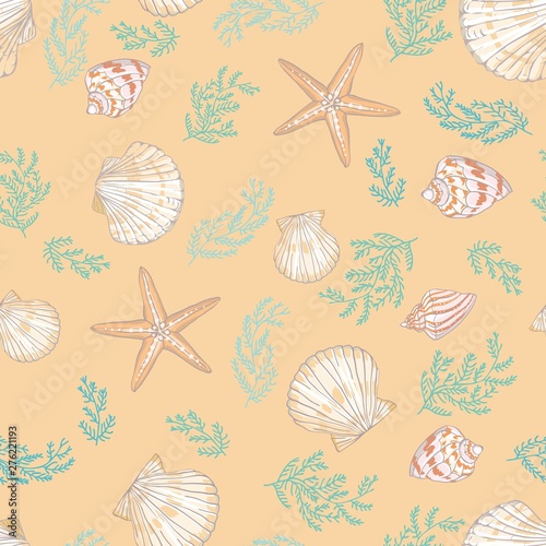 Seashell seamless pattern. Scallop vector background.
