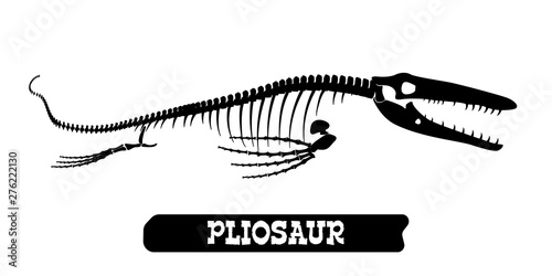 Skeleton of a fossil waterfowl dinosaur. Pliosaur. Vector photo