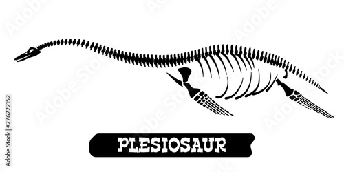 Skeleton of a fossil waterfowl dinosaur. Plesiosaur. Vector photo