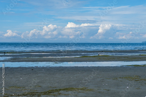 sandy beach at low tide with exposed green algae and cloud on blue sky over the horizon
