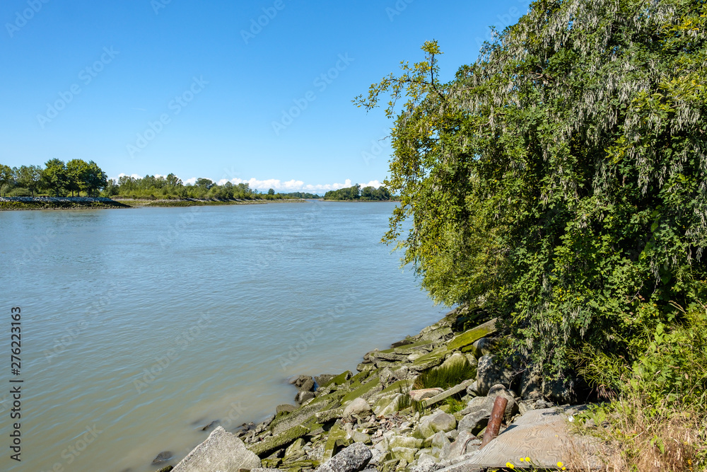 rocky river bank on a sunny day with green trees on the edge and forest covered island on the other side of the river rocky river bank on a sunny day with green trees on the edge and forest covered island on the other side of the river