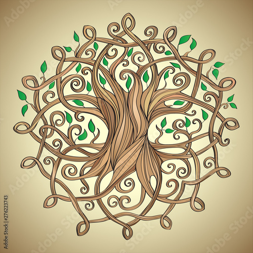 vector illustration of celtic tree of life
