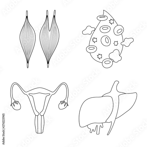 Vector design of anatomy and organ sign. Collection of anatomy and medical stock symbol for web.