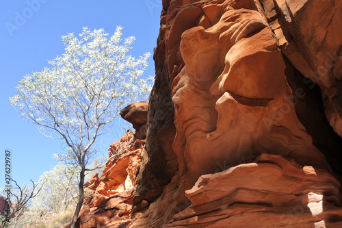 Kings Canyon in the Northern Territory Australia